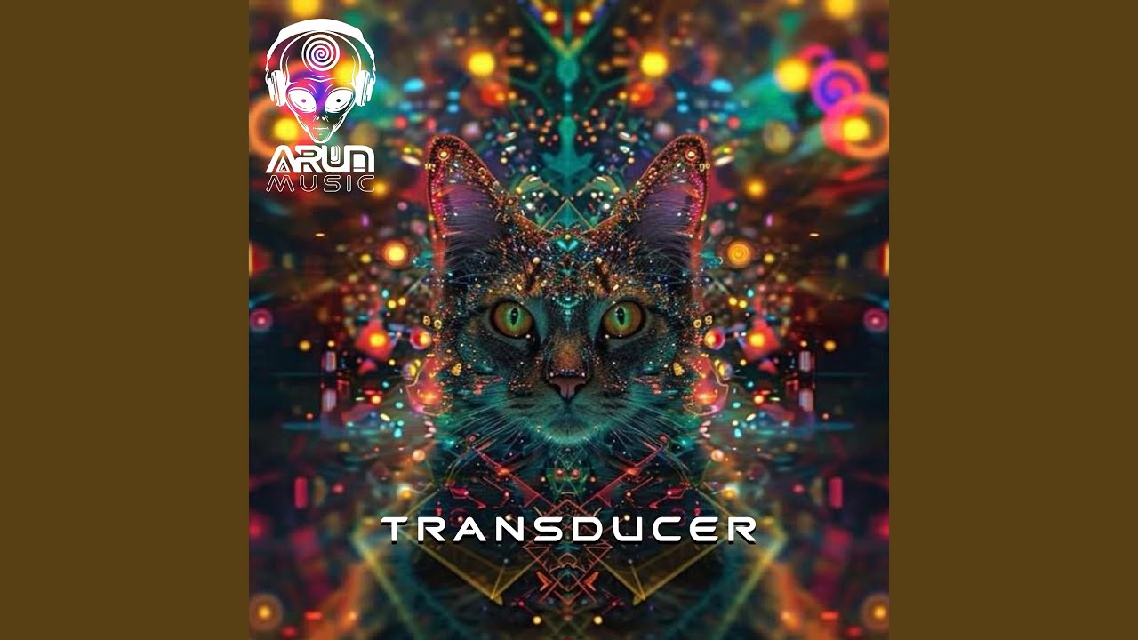 Transducer