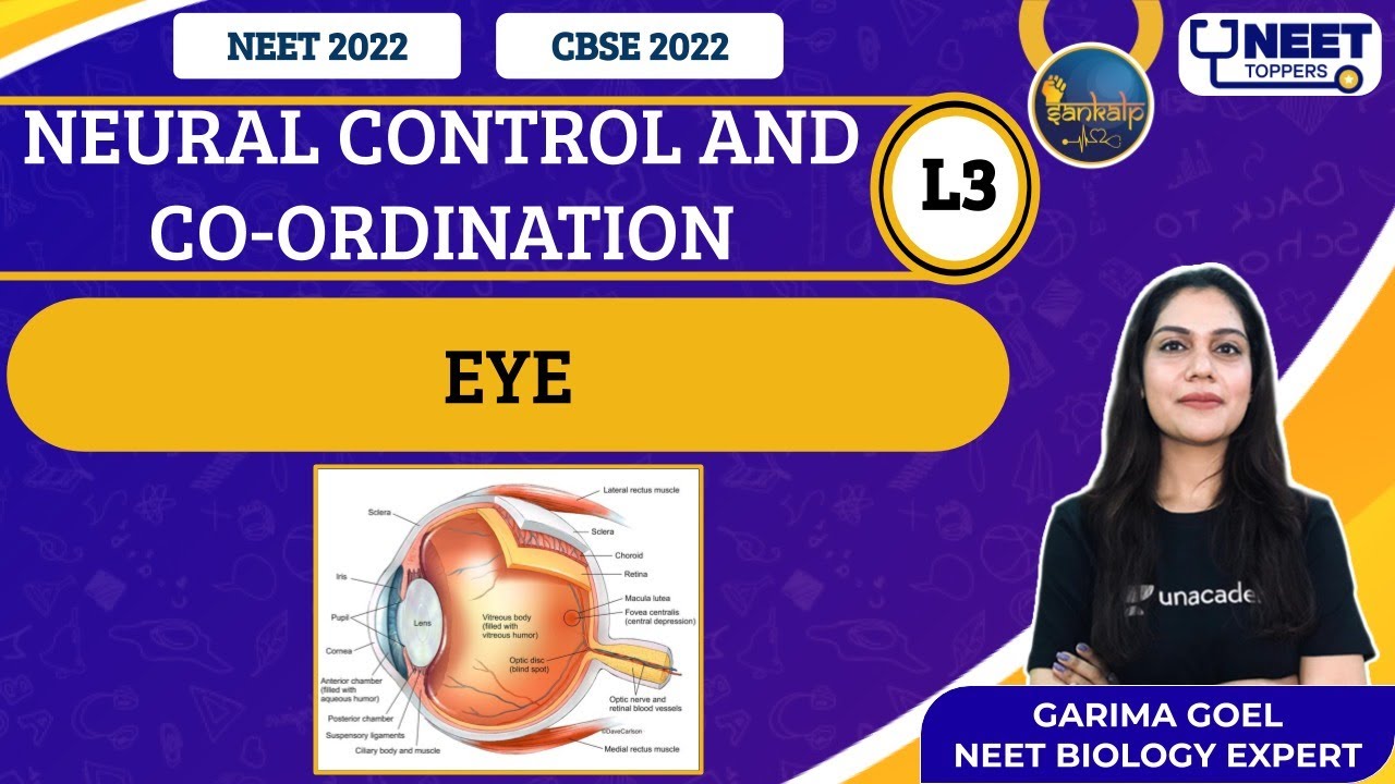 Sankalp: Neural Control and Co-Ordination L-3 | NEET Toppers | Garima G.