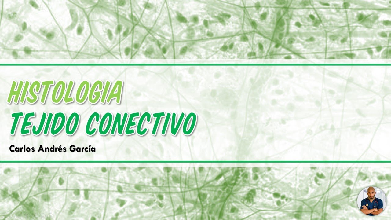 Histolog&iacute;a - Tejido Conectivo (Matriz, Fibras y C&eacute;lulas)