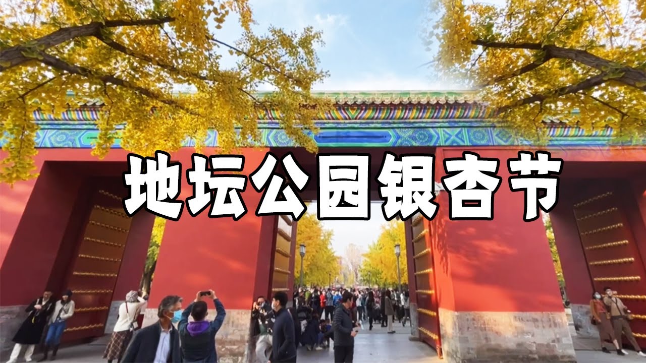 北京地坛公园的银杏节开幕了，银杏大道人流如织，现场太漂亮了【行走世界的北京老刘】