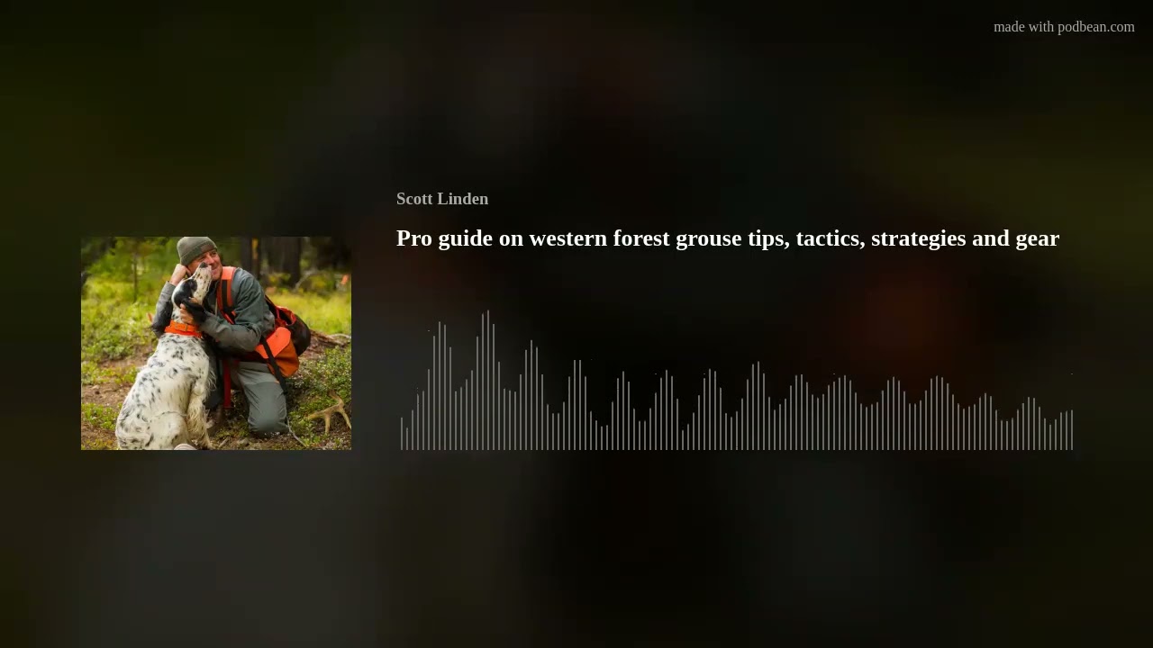 Pro guide on western forest grouse tips, tactics, strategies and gear