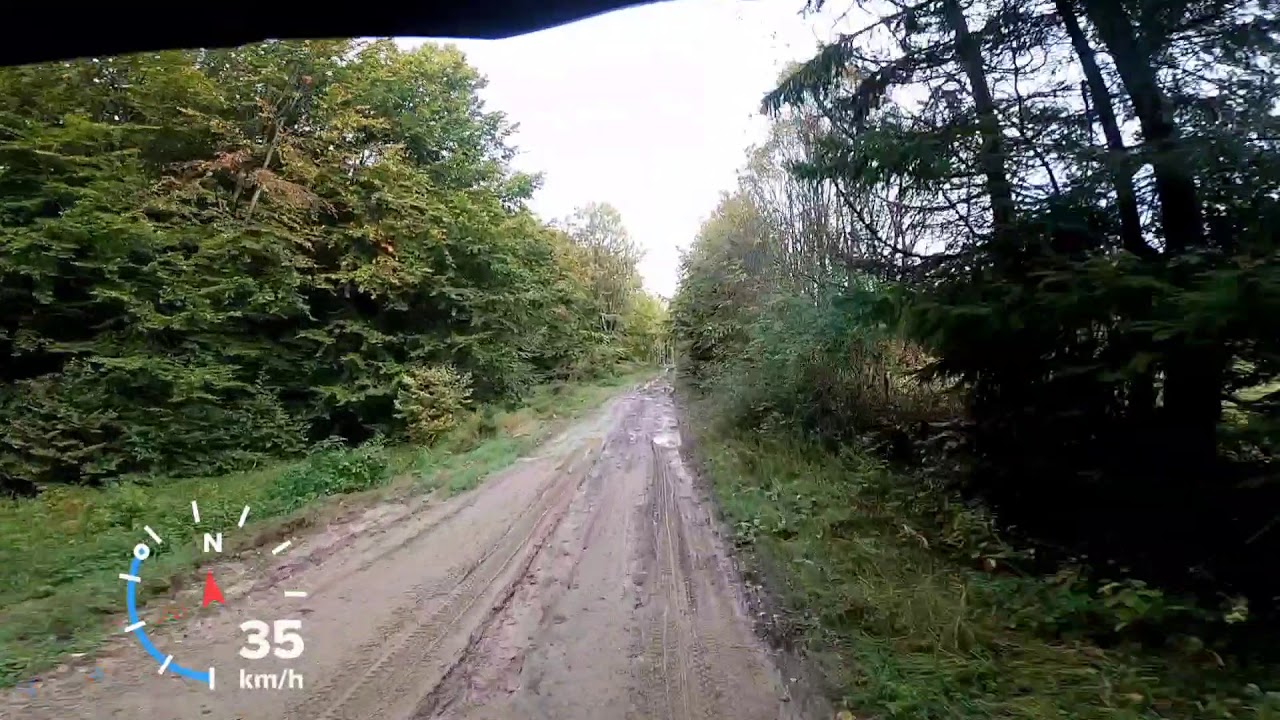 Кук.Перший сніг.