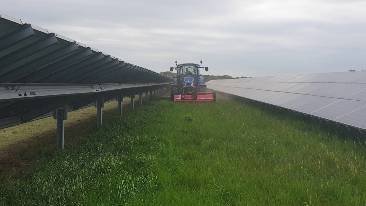 Grünflächenpflege in einem Solarpark
