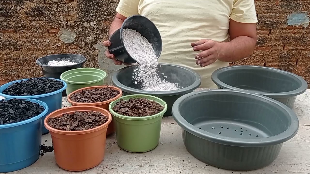 SUBSTRATO PARA CACTOS E SUCULENTAS BEM AERADO, COM USO DE PERLITA E CARVÃO
