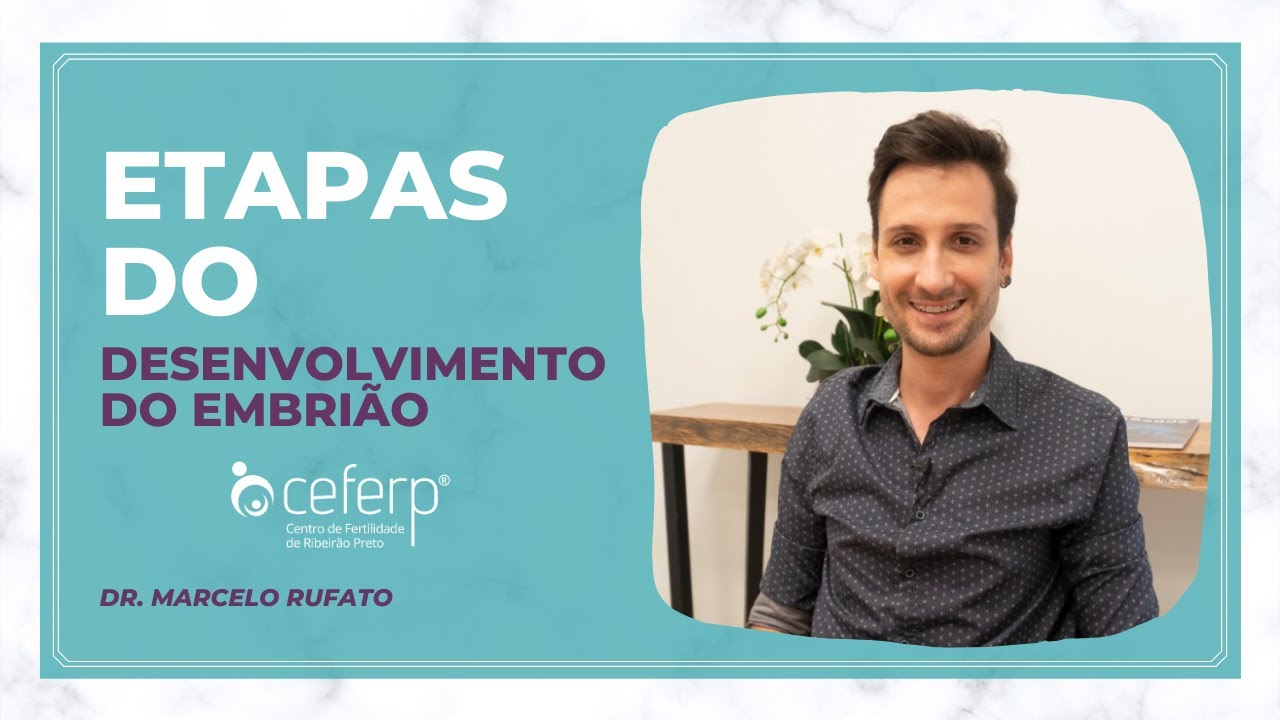 Etapas do desenvolvimento embrionário | CEFERP