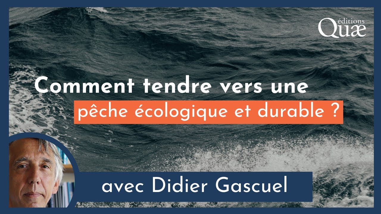 Comment tendre vers une p&ecirc;che &eacute;cologique et durable ?