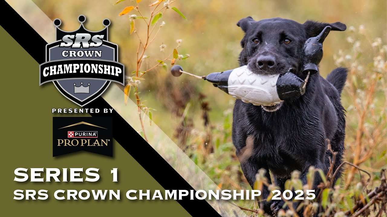 2025 SUPER RETRIEVER SERIES CROWN CHAMPIONSHIP - SERIES 1