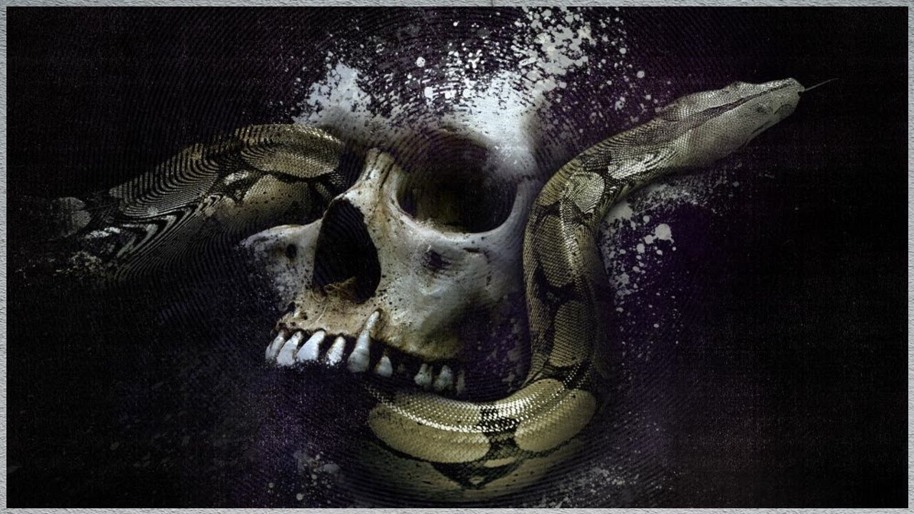 Ranking Never Say Die - One Hundred