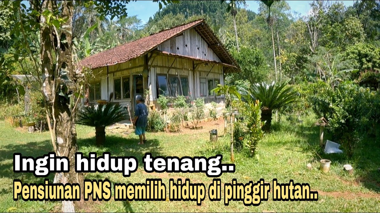 Menikmati masa tua bersama suami, Pensiunan pns ini hidup bahagia di pinggiran hutan.