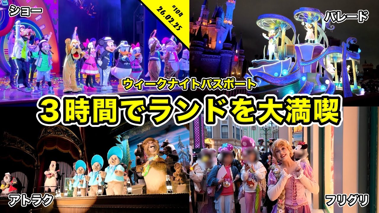 【VLOG】３時間で充分！？ウィークナイトパスポートでディズニーランドを満喫！ショーパレやアトラクションなど【混雑状況】