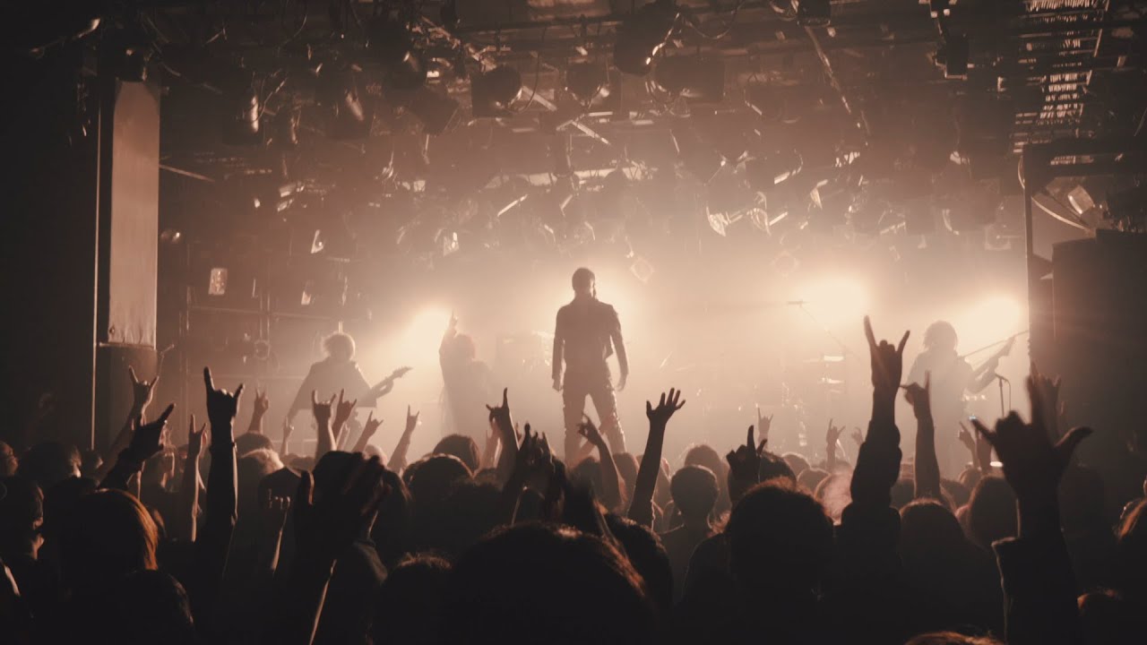 DEVILOOF - Damn(Official Live Video)