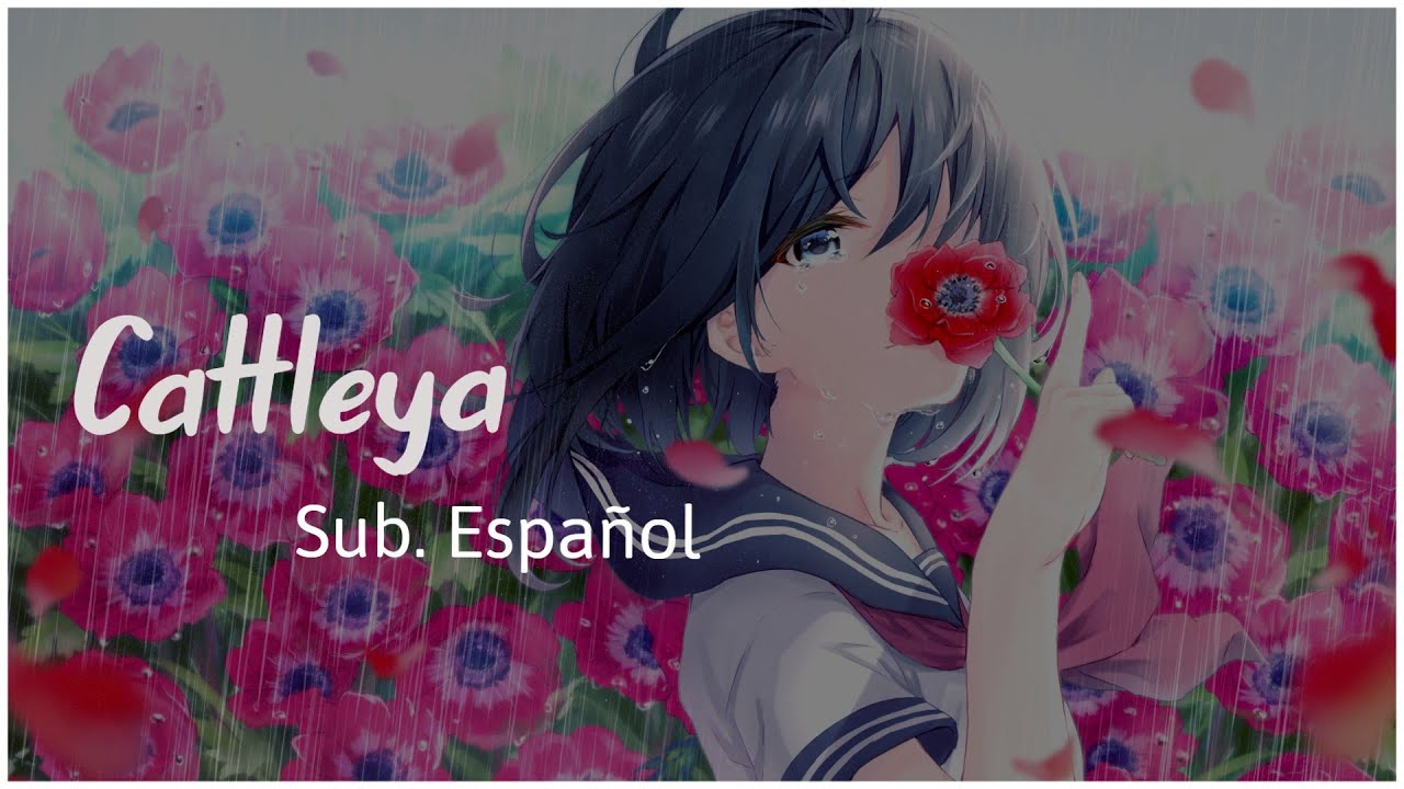 【Yorushika】Cattleya | Sub. Español