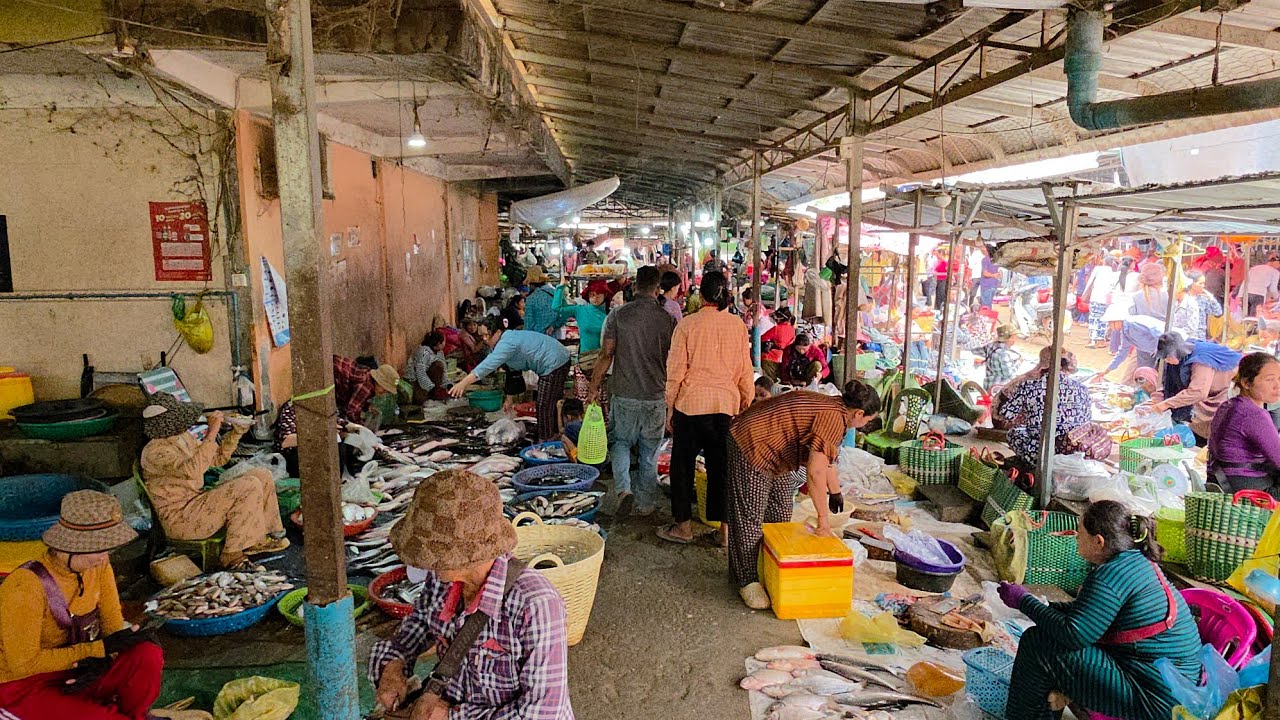 ផ្សារពន្លៃព្រឹកថ្ងៃអាទិត្យសំបូរត្រីឆ្កោកធំៗគ្រប់តូប 08/02/26