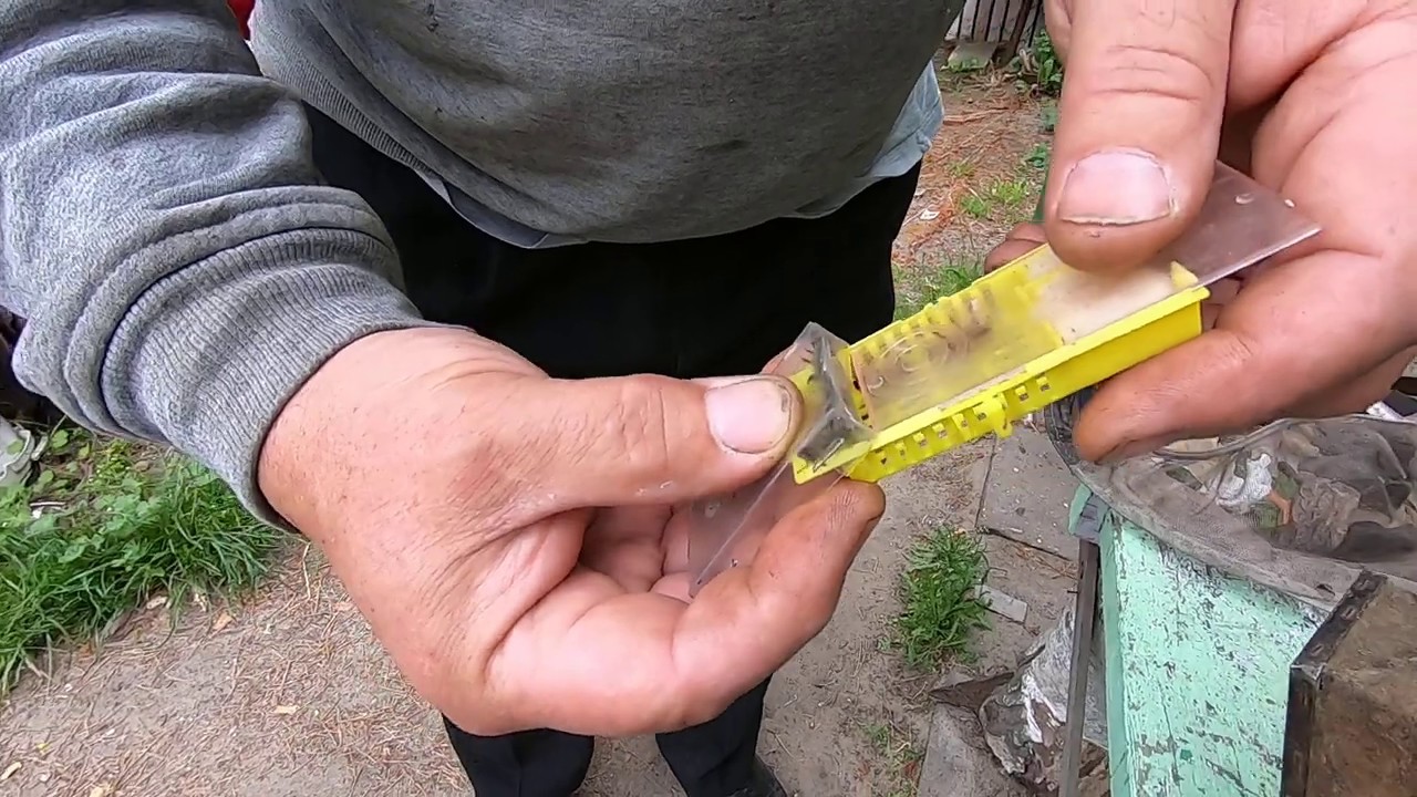 Matki pszczele Stanisław Jurczak Christian Merkury część 6