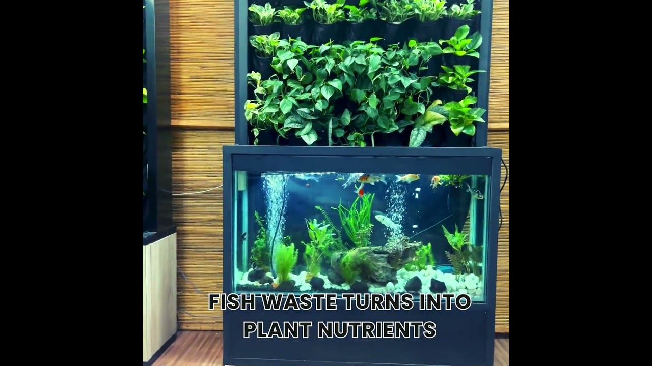 Aquaponic Active Green Walls