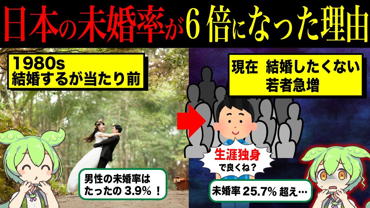 日本の未婚率上昇が止まらない理由【ずんだもん＆ゆっくり解説】