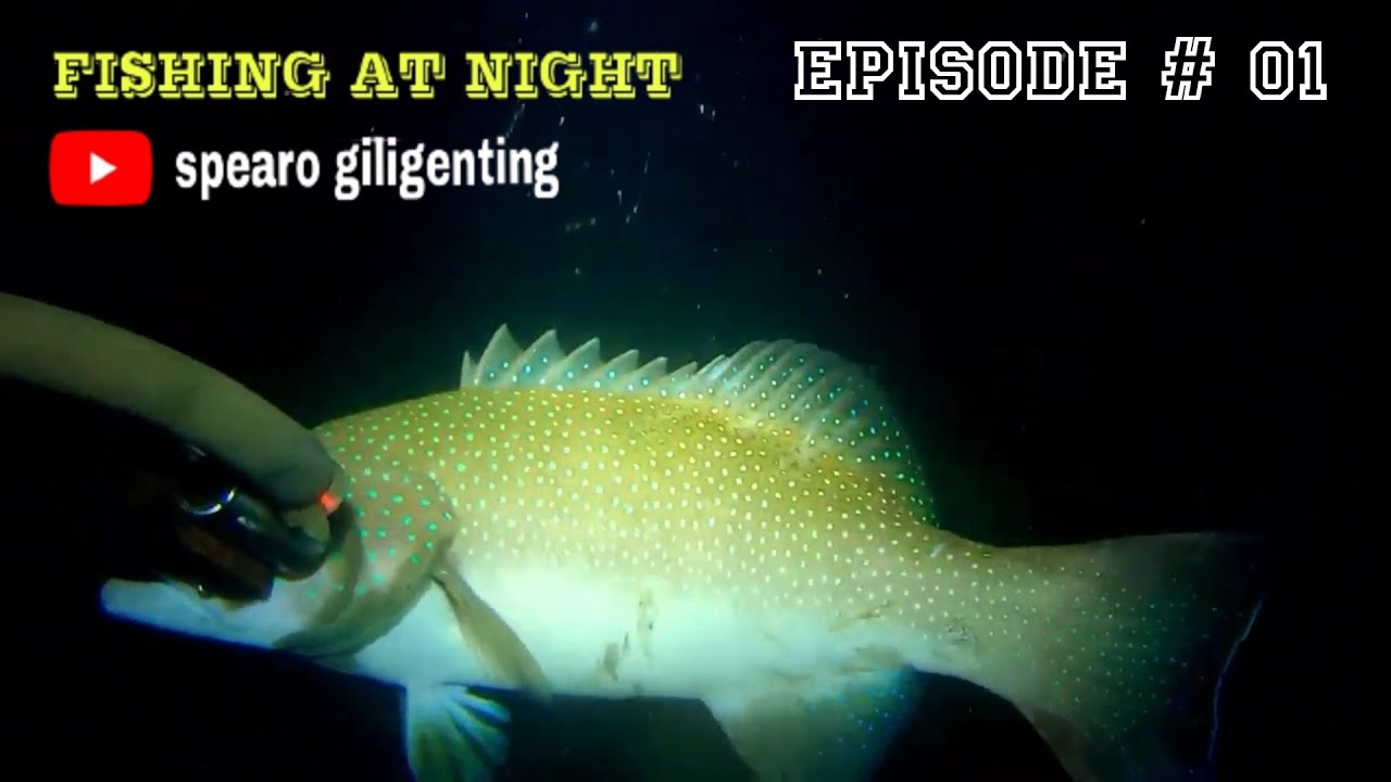 NIGHT  SPEARFISHING EPISODE-01 || keseruan berburu ikan dimalam hari