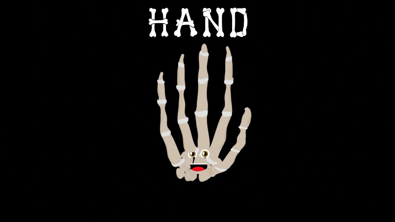 Human Body /Hand Song/Human Body Systems
