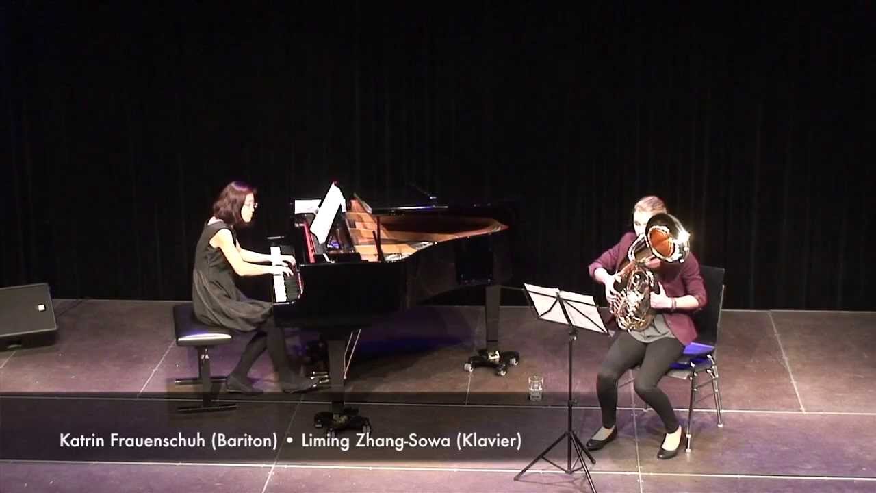 Paraphrase on an Irish Song / H. de Groot / Bariton / Frauenschuh