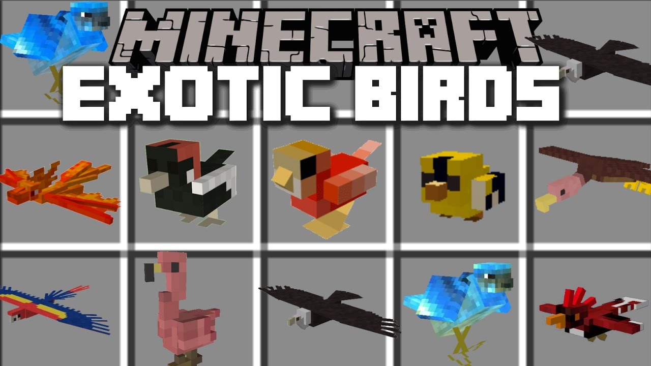 Minecraft EXOTIC BIRDS MOD / PLAY WITH LOADS OF EXOTIC BIRDS IN THE ZOO!! Minecraft