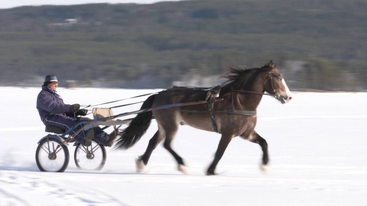 Hos Heiki på Finnskogen