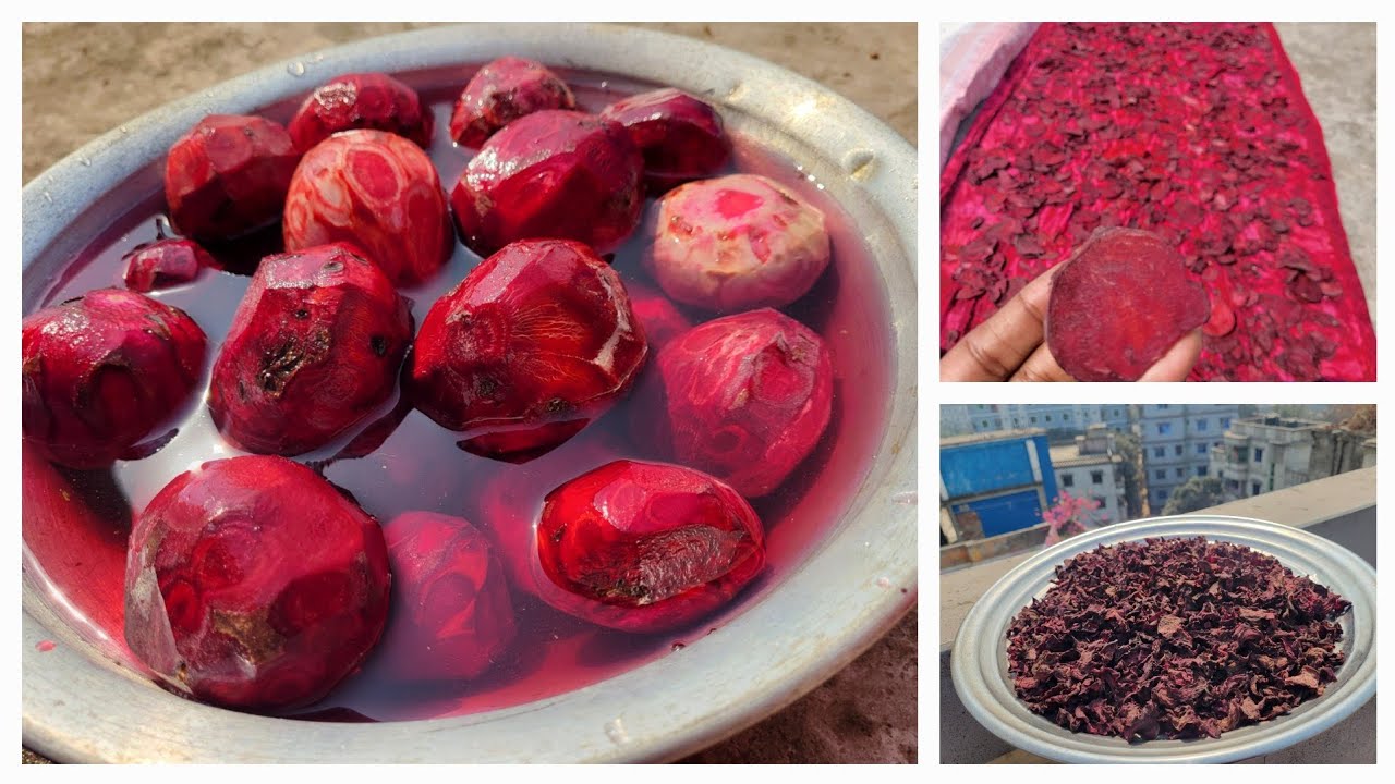 বিটরুট গুড়া করে সংরক্ষণ করার পদ্ধতি। Beetroot powder#recipe #bitroot #beetrootpowder #বিটরুট #food