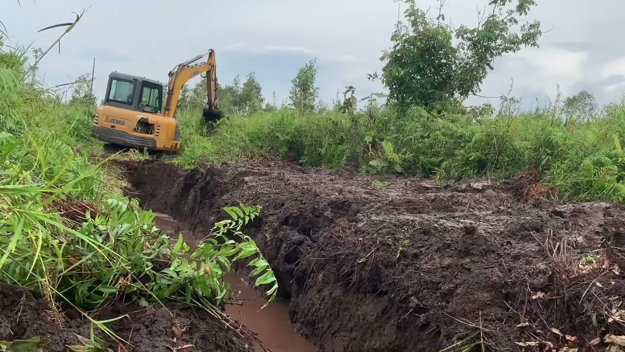 Pembukaan lahan sawit menggunakan exafator