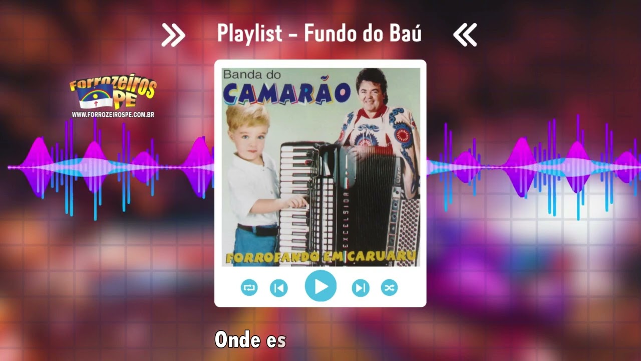 CD &ndash; Camar&atilde;o &ndash; Forrofando em Caruaru