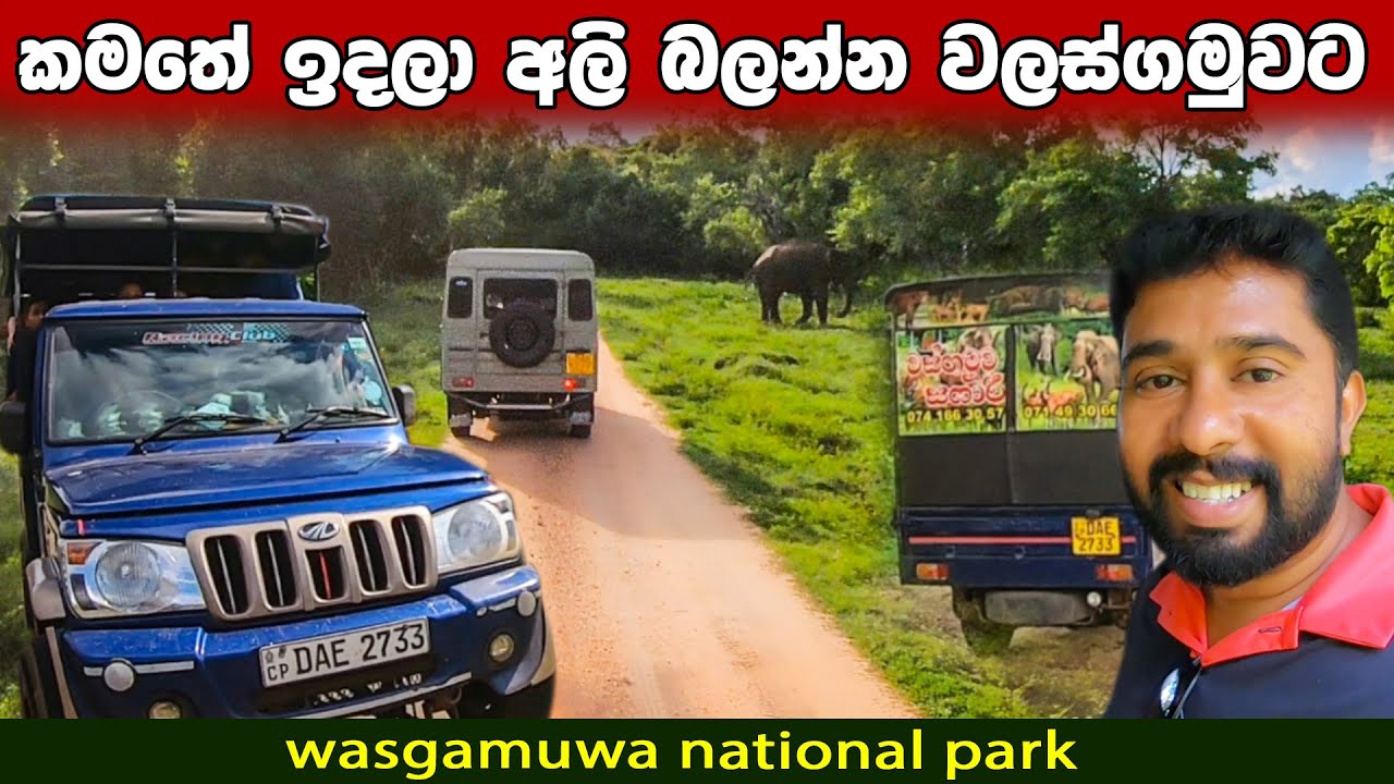කමතේ ඉදලා අලි බලන්න වලස්ගමුවට එන්න යන්න | Wasgamuwa National Park is a natural park @lakshithavlogs