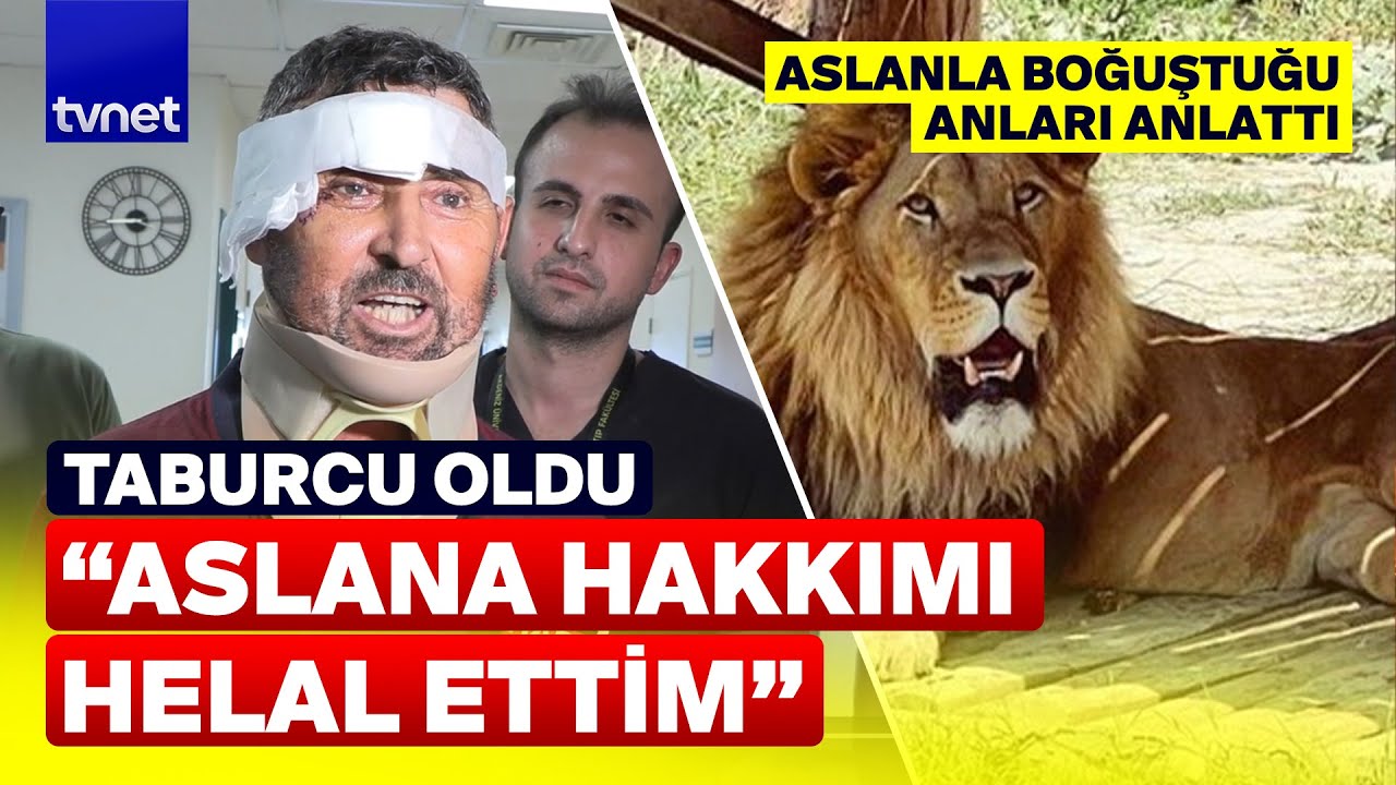 Antalya'da aslanın saldırısına uğrayan vatandaş o anları anlattı
