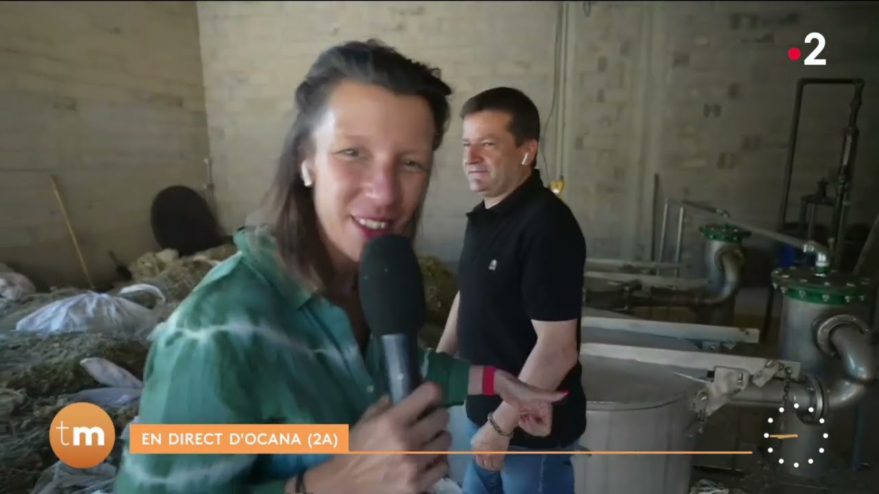 Corse : distillerie des huiles essentielles d'immortelle / Télématin Fenêtre sur régions France 2