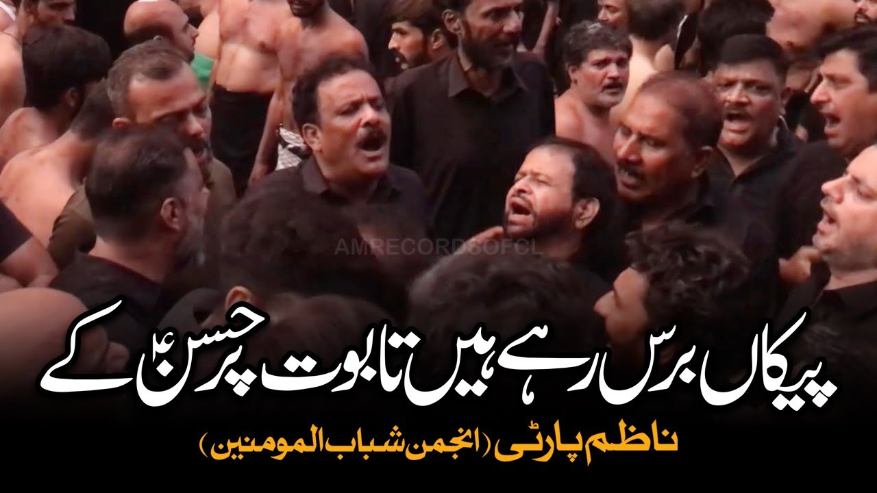 Paikaan Baras Rahey Hain Taboot Per Hasan Ke | AM Records | Nazim Party | Imam Hasan Noha