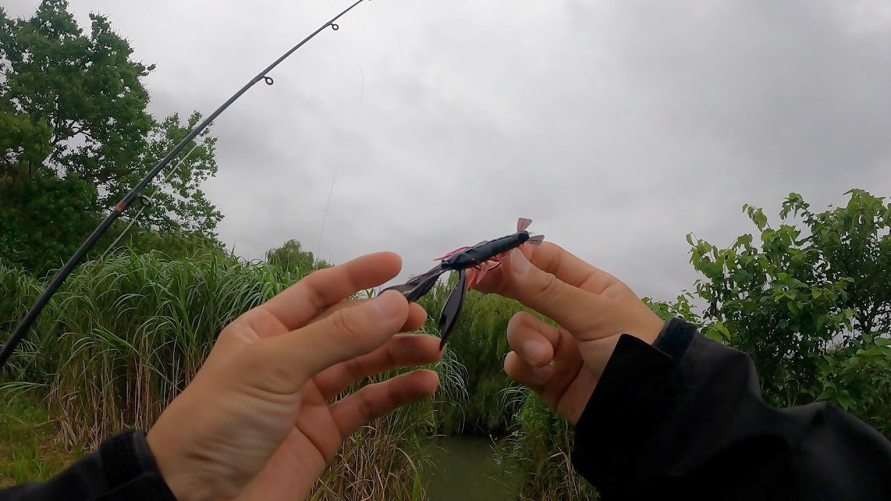 [Fishing in JAPAN] Fishing in Moto arakawa using special lure from Australia