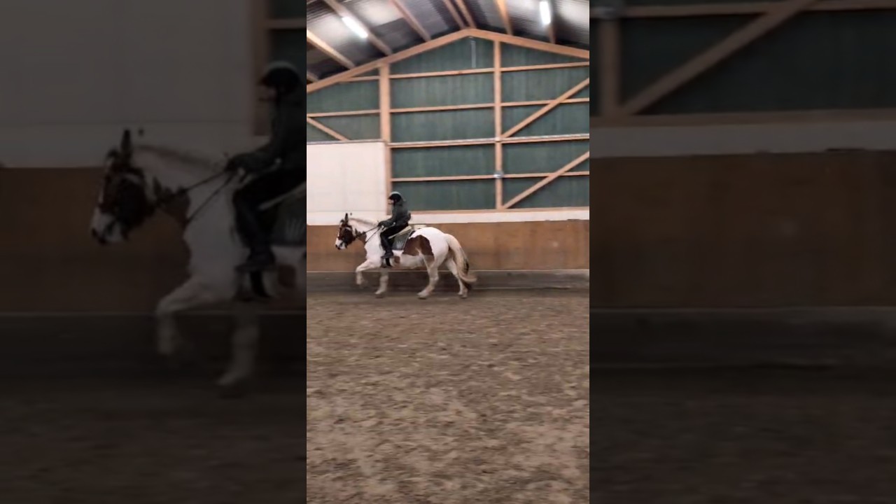 #horse
