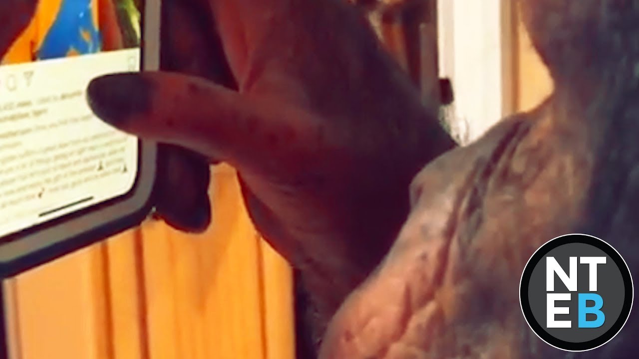 Monkey Using Instagram To Swipe Through Photos Just Like A Human