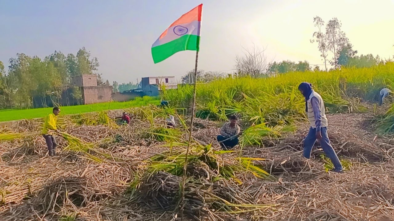 एक घंटे बाद हो जाएगा इनका ऑफ़ 🤗 #livestream #live #livevideo #liveyoutube