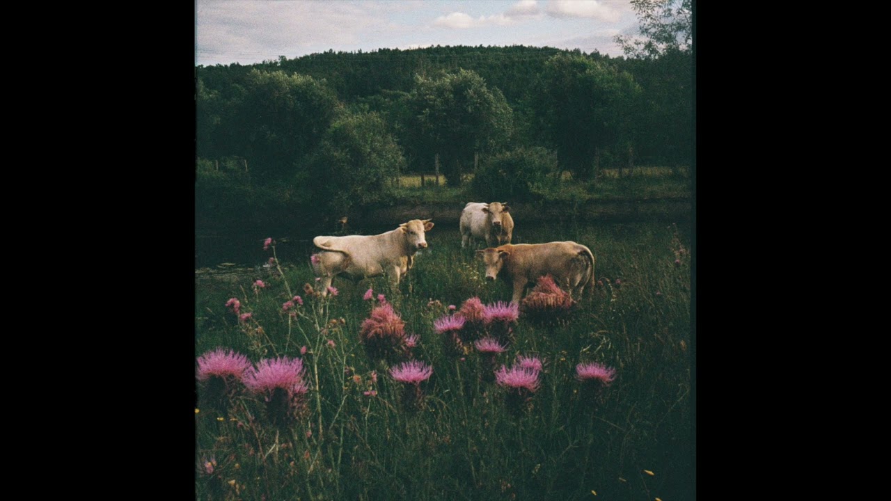 Manteau - Primavera Song