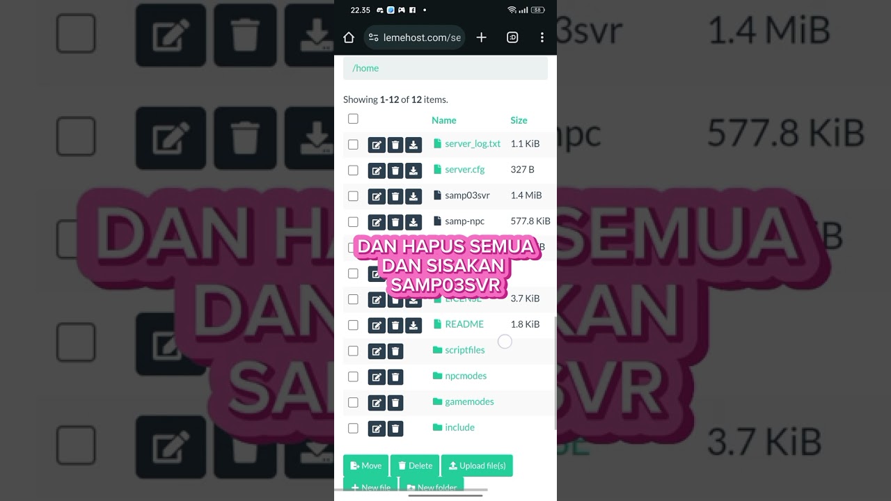 TUTORIAL BIKIN SERVER MAPPING DI LEMEHOST