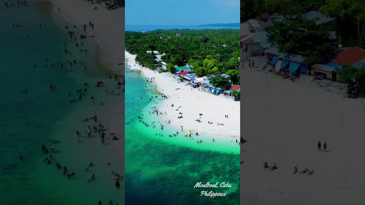 The Best of Moalboal Beach, Cebu, Philippines
