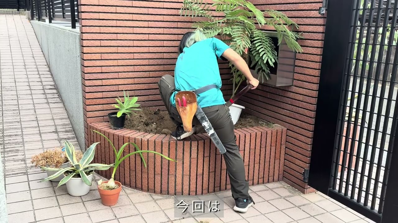 【花壇作り】鉢のまま植えるという方法
