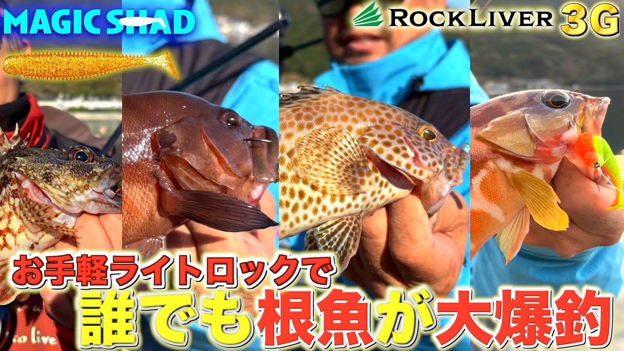 簡単お手軽にロックフィッシュが連発！？楽しすぎるライトロックをご紹介します！