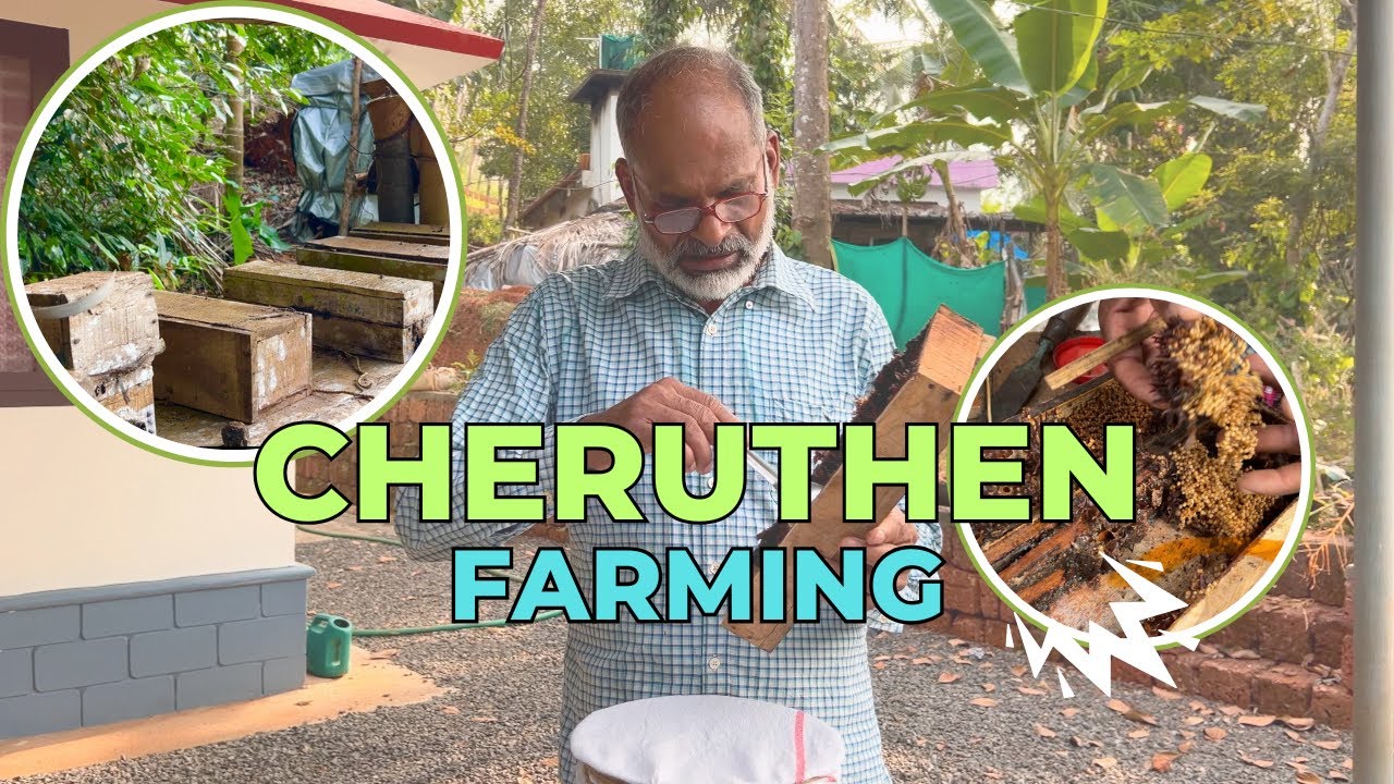 Cheruthen Farming (Part-1)