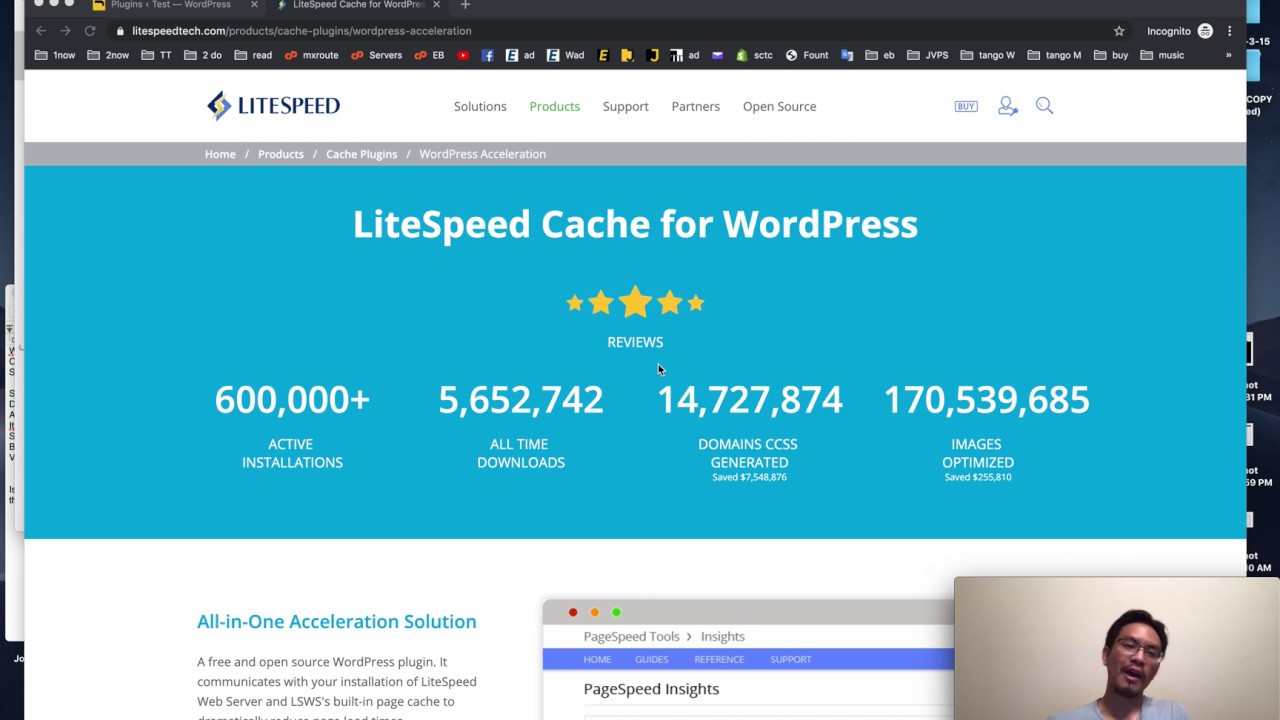 LiteSpeed Cache plugin - best settings for WordPress