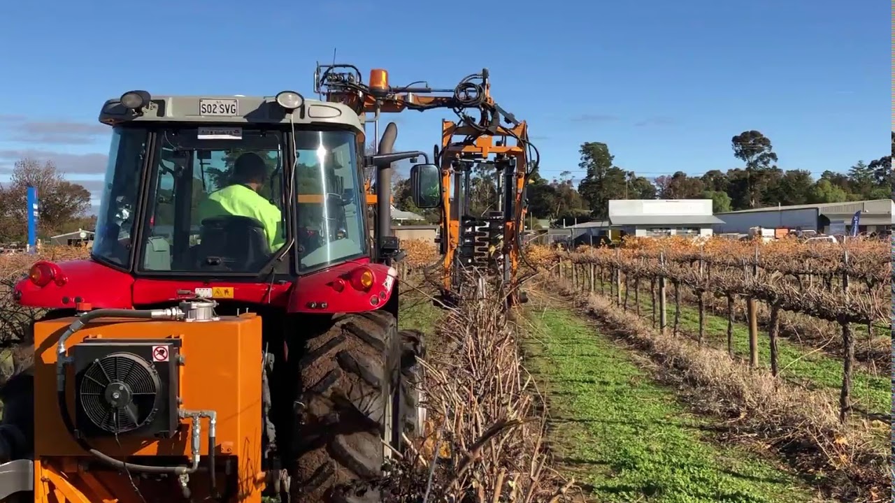 Vineyard Mates Barrel Pruning - Pellenc VISIO TLV20-HD Barrel Pruner