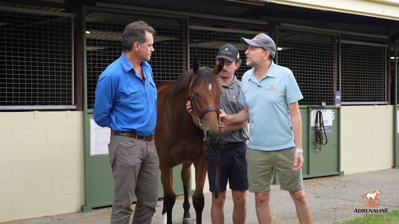 Paul Bita with our Acrobat x Wobbly Boots filly (March 2026)