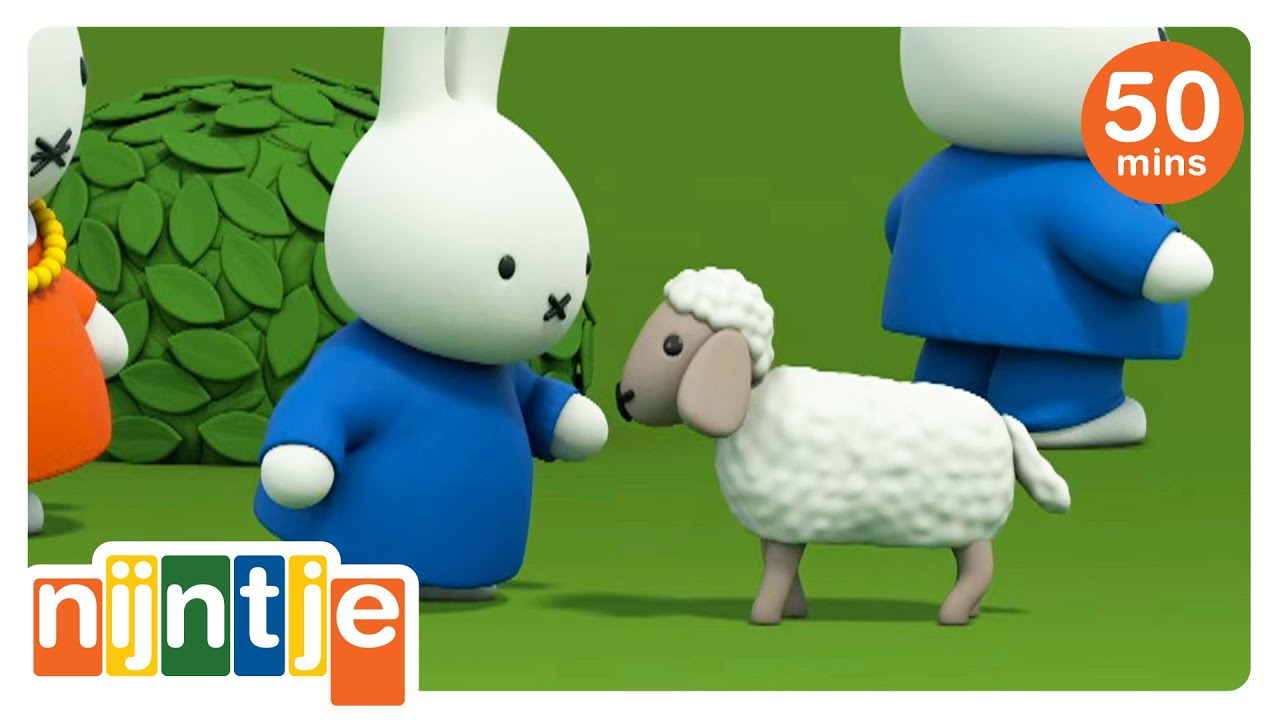 nijntje en de schapen | nijntje | het beste van nijntje