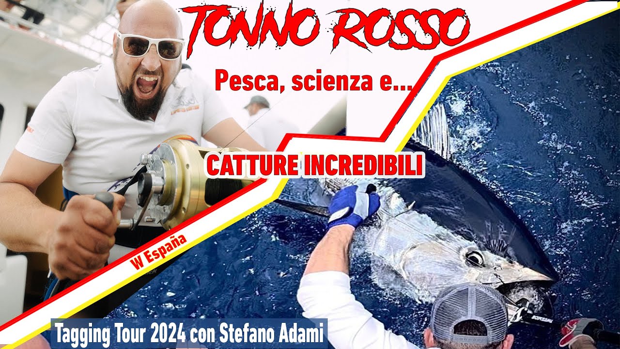 Tonno rosso Pesca, scienza e CATTURE INCREDIBILI al Taggin tour 2024 con Stefano Adami