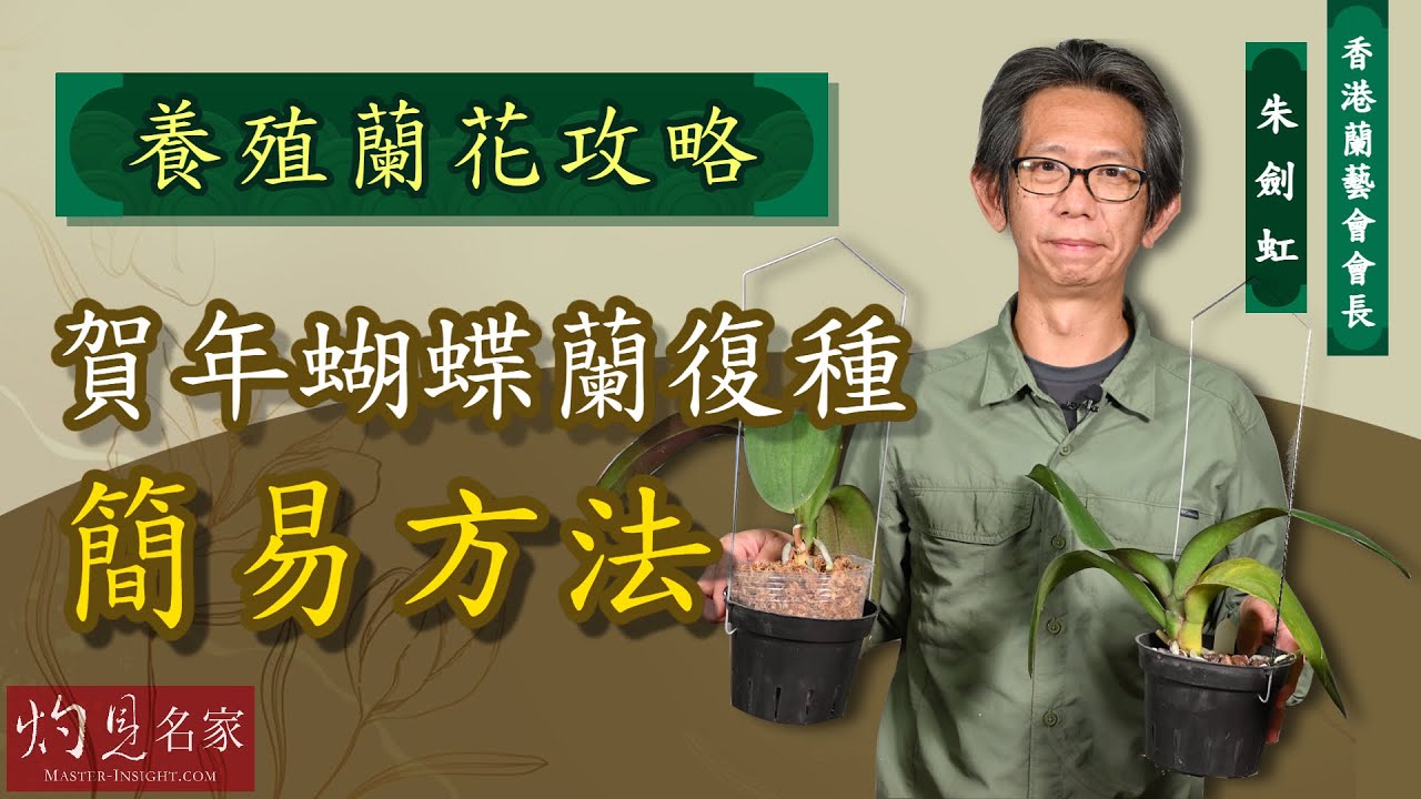【字幕】香港蘭藝會會長朱劍虹：養殖蘭花攻略之 賀年蝴蝶蘭復種簡易方法《灼見文化》（2021-05-13）