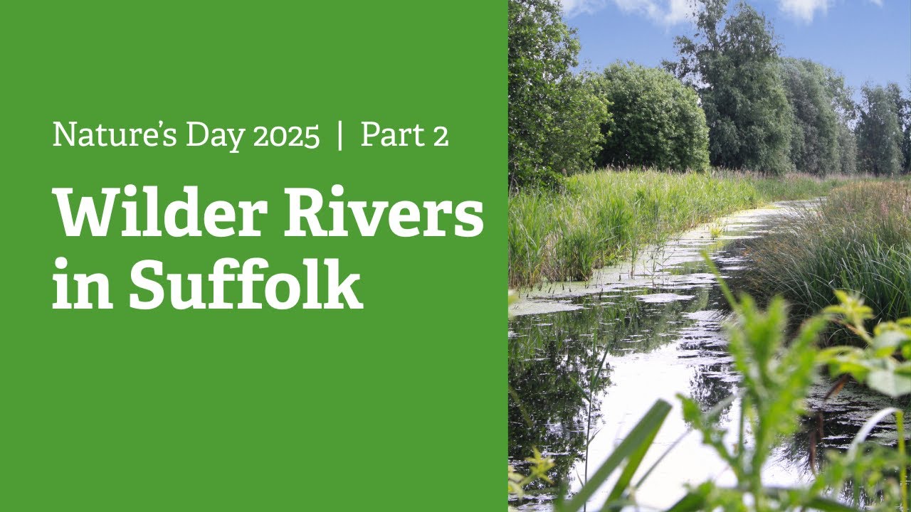 Wilder Rivers in Suffolk - Nature's Day 2025 Part 2 | Suffolk Wildlife Trust