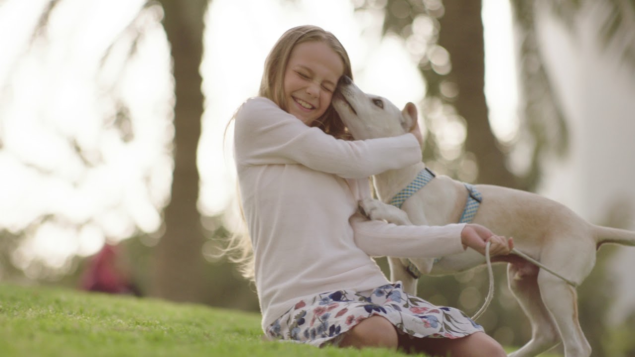 Qatar Airways Cargo, moved by people